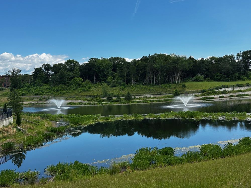 Ashburn Metro